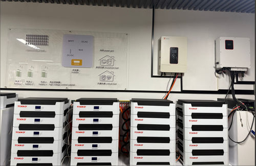 Ultimi blog aziendali su Scegli la migliore soluzione di accumulo di energia per la tua casa con TINKO, ottimizzata per le tue esigenze di consumo di energia