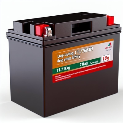 Buon prezzo 51.2V 230Ah Carro da golf Batteria LiFePO4 con Smart BMS 11.8kWh in linea